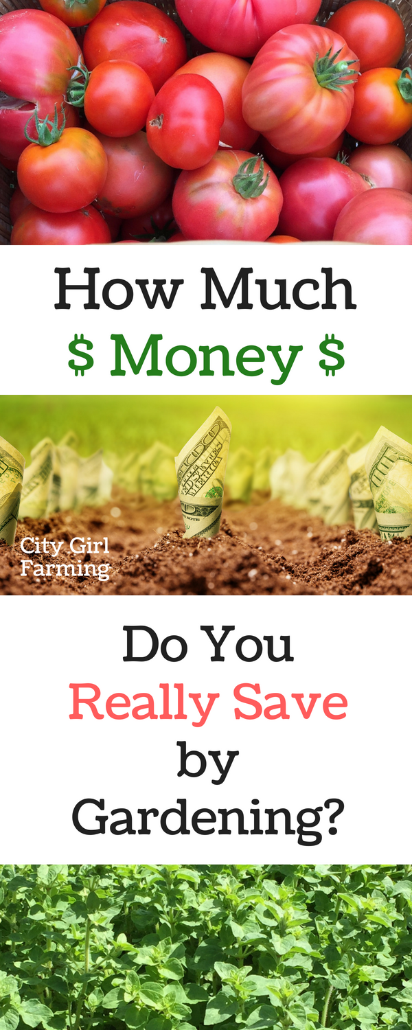 How Much Do You REALLY Save By Gardening LaptrinhX News