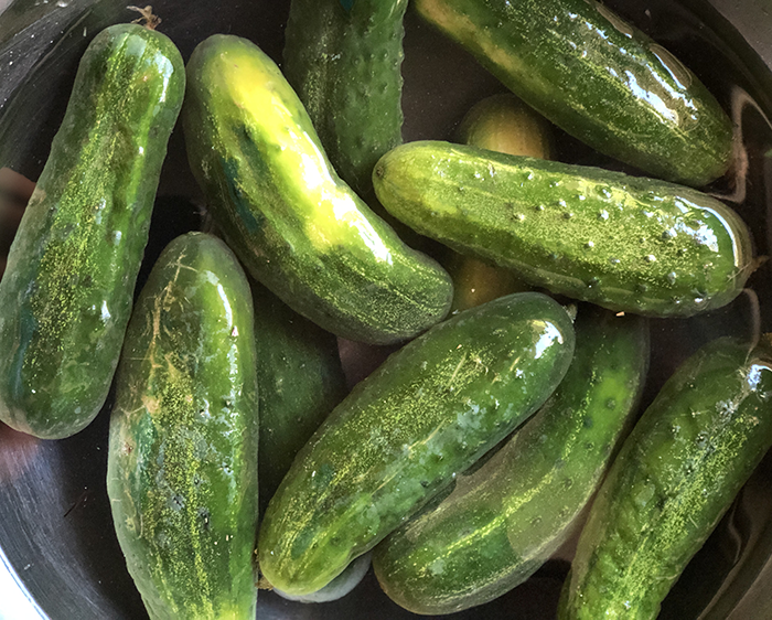 Homemade pickles are delicious. And no-fail refrigerator pickles are fast to make, addictive to eat, and beat the store bought pickles hands down. If you have a handful of fresh cucumbers, a few other ingredients and 5 minutes of time, you're all set to make the best pickles EVER. Ready to get started?