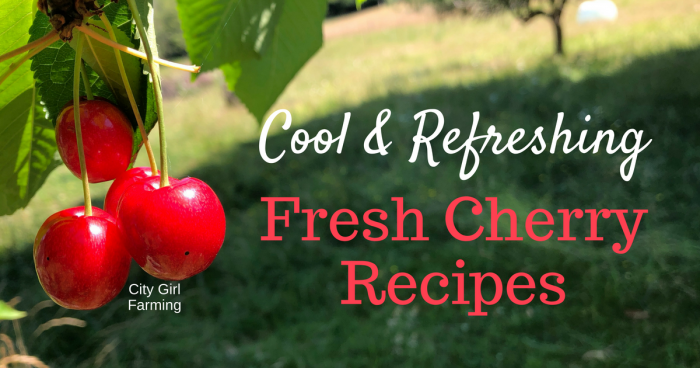 Fresh cherry season is the best. There are so many things you can make with cherries...cool and refreshing recipes that hit the spot. Here's 7 ideas to get you started!