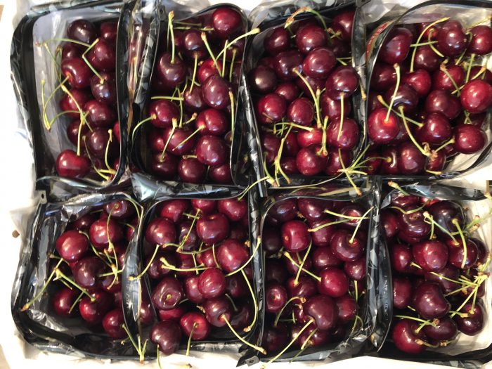 When life gives you fresh cherries and it's hot out, what do I do? Make cold, refreshing fresh cherry recipes. Move over hot cherry anything. Hello cherry ice cream, smoothies and sorbet. Mmmm.