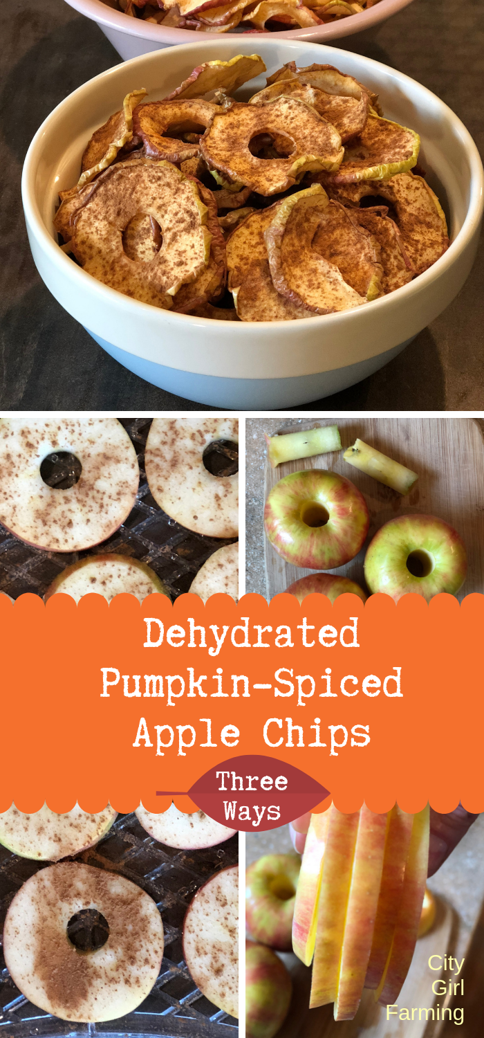 With fall comes an abundance of apples which is a perfect excuse to make dehydrated spiced apples. These apple chips are great plain, but I'm also going to show you how to spice them up a bit (using dried spices or essential oils) to make them even better! Dehydrated spiced apples are one of nature's perfect (healthy) candies. And they're addictive...but they're also easy to make so eat away!