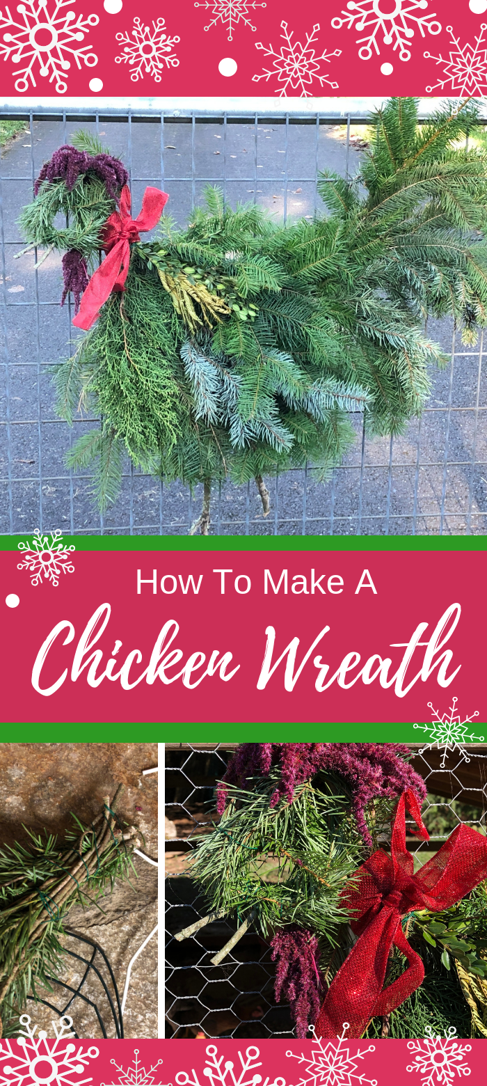 I've wanted to make a chicken wreath for the holidays for years and I just never got around to it! Finally, this year, I made it happen. And you know what? It was super easy, barely took any time at all and was nearly free. How can you go wrong with that? I'll show you how I made my chicken wreaths (a hen and a rooster) and you'll see just how easy it is.