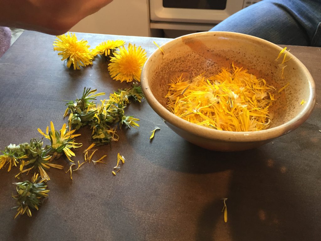 Learn how to dye yarn with dandelions in 4 simple steps and just 3 ingredients.