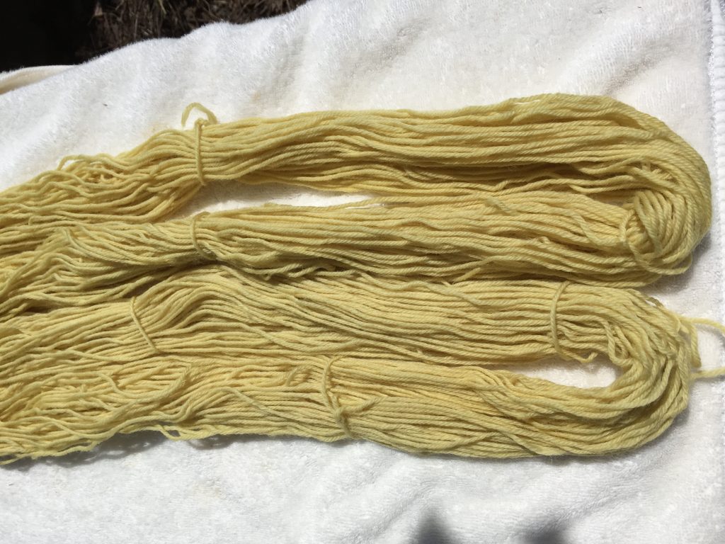 Learn how to dye yarn with dandelions in 4 simple steps and just 3 ingredients.