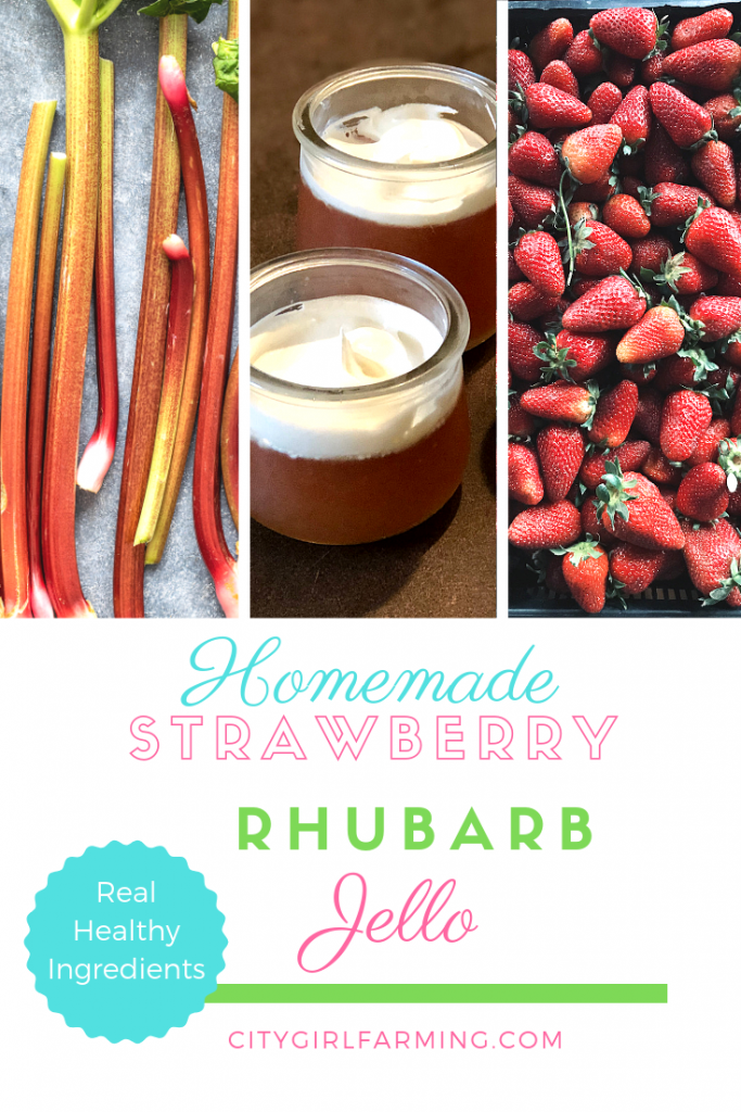 Homemade Strawberry Rhubarb jello is NOT the jello from your childhood. It's WAY better. And it's made with wholesome, real ingredients. Not only that, it's easy to make.