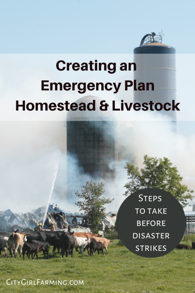 Pin on Emergency preparedness/ Homesteading