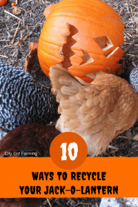 Don't let your leftover jack-o-lantern go to waste! Here's 10 different ways you can put them to good use after Halloween.