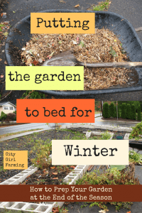 Winter Prep for your garden: Tips on getting your garden spaces ready for winter