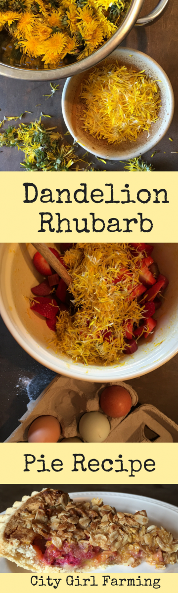 dandelion rhubarb pie is the perfect way to celebrate spring! This pie is part custard, part fruit crisp and part fruit pie. It's also 100% wonderful.