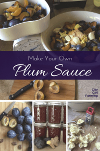 Make your own Asian Plum Sauce. A spicy, sweet sauce that's delicious in stir fry, as a BBQ marinade, with lettuce wraps and more. You'll never get a taste as great as homemade and this recipe isn't difficult.