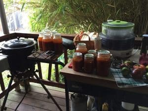 Learn canning processing for water bath method...it's easy to do and fun and satisfying too | City Girl Farming