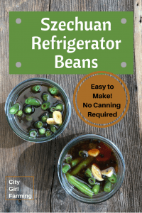 If you love pickle-y-mildly spicy things, you're in for a treat with these Spicy Refrigerator Beans. Mmm. Not only are they addictive, they're super easy to make. 