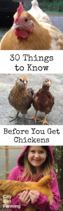 30 things you should know about getting chickens....know what you're getting into before you make the commitment of raising chickens.
