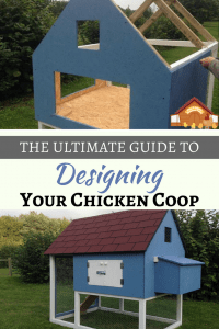 This ultimate guide to building a chicken coop will walk you through how to design the perfect chicken coop; from building materials through to ventilation guidance I’ve got it all covered.