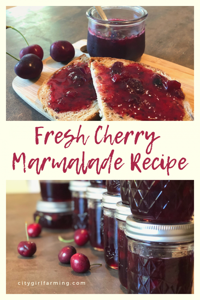 This fresh cherry marmalade is perfect. It's 'fancier' than plain ol' jam or jelly and has a great mix of cherry and orange flavors. This is the stuff you pull out for special guests and important occasions.