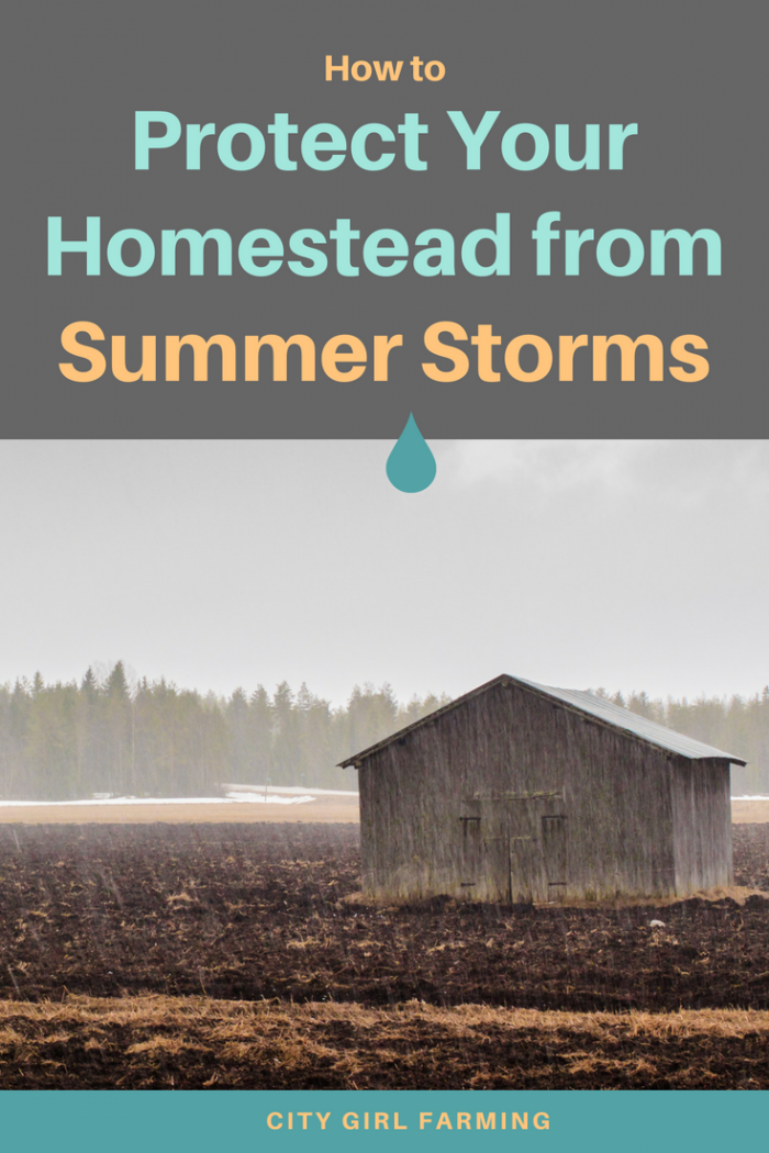 Helpful tips on protecting your homestead during summer storms