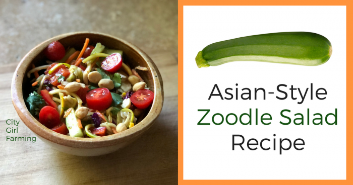 This Asian zoodle salad is my go-to all summer while the zucchinis are plentiful. It will make you sad when the flood of zucchini season is over. It's that good.
