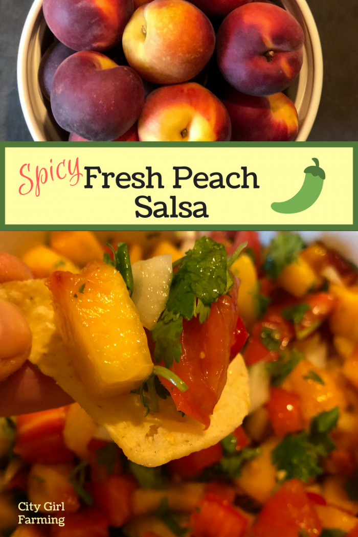 Spicy peach salsa is a perfect peach season recipe. It's a spicy yet sweet take on traditional salsa that's super easy to make and devoured just as quickly. It's a great chip and salsa combo to switch things up a little. But it's also great as an accompaniment to fish, chicken or other meats.