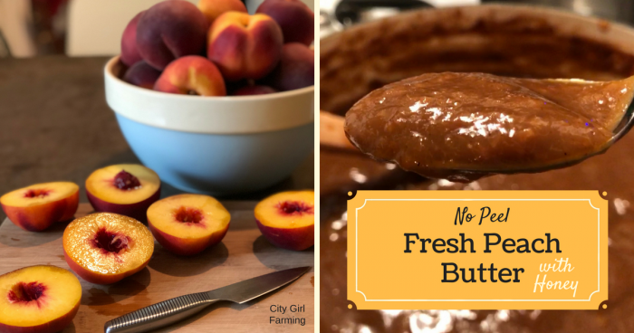 Have you wanted to try making fruit butter but don't want to deal with the peeling? You're in luck. This simple no-peel peach butter is easy to make and tasty! I made it with honey to sweeten and cinnamon and ginger to spice it up, but you can personalize it completely to your own tastes.