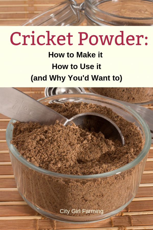 Nutritious and incredibly low impact, cricket powder has many merits. Learn how to grow your own crickets and use them for a great food source.﻿