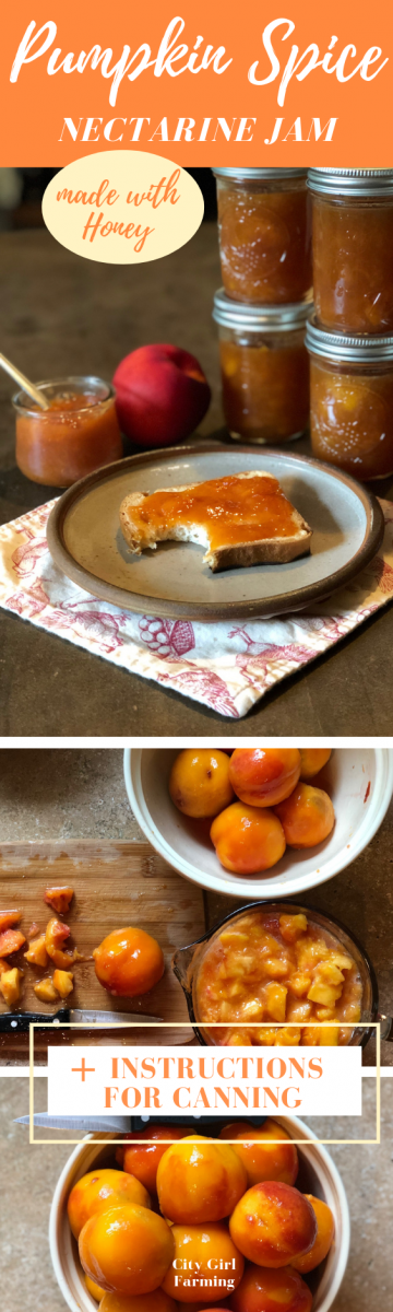 The mix of sweet nectarines, honey and pumpkin spices make this jam Divine! So good and easy to make!