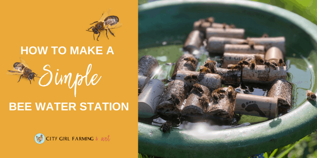 https://citygirlfarming.com/wp-content/uploads/2021/05/how-to-make-a-simple-bee-water-station-FB-1024x512.png