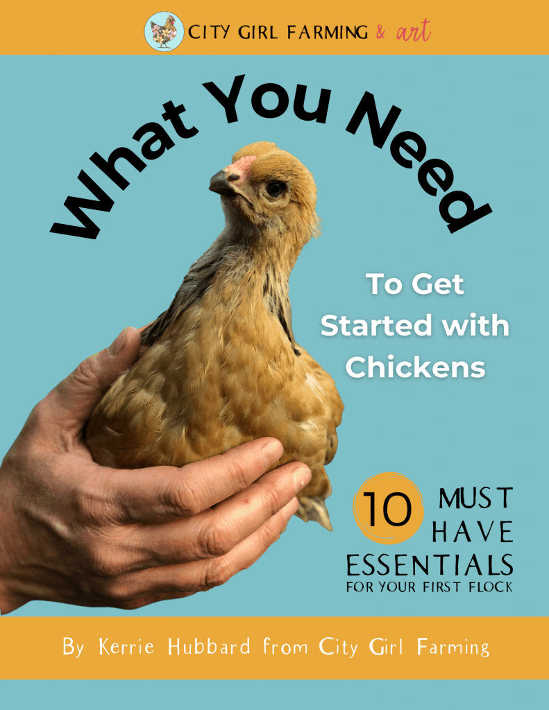Get Started Chickens Thank You - CITY GIRL FARMING | Sustainable Living ...