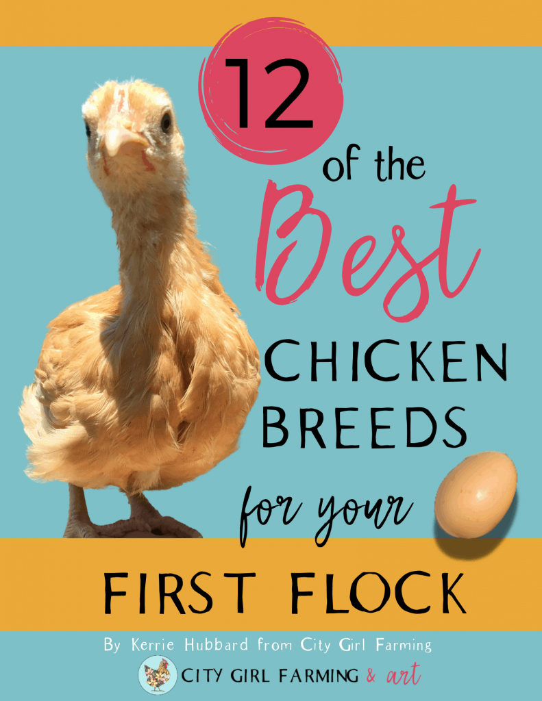 https://citygirlfarming.com/wp-content/uploads/2021/06/12-Best-Backyard-Breeds-cover-791x1024.png