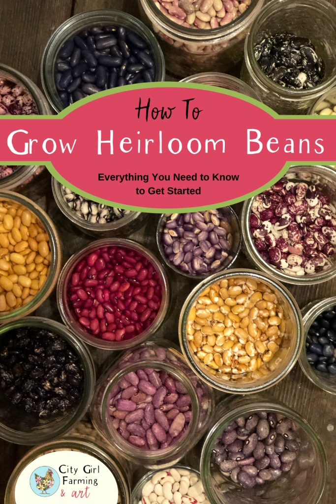 Heirloom Seeds: What Are They and Why You'll Want to Grow Them